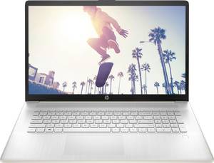 <br>  HP<br>  Laptop<br>  <br>  <br>  43.9 cm (17.3 inch) Full HD7320U8 GB RAM512 GB SSD;German, QWERTZAMDAMD Radeon graphicsNot available;SilverB9QA3EA
